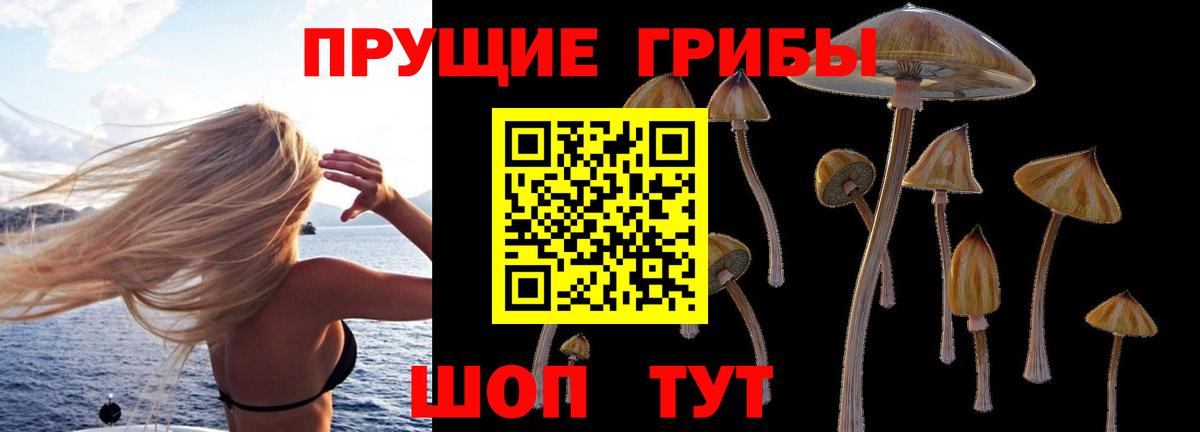 Псилоцибиновые грибы Psilocybine cubensis  Вход с VPN  Серов 