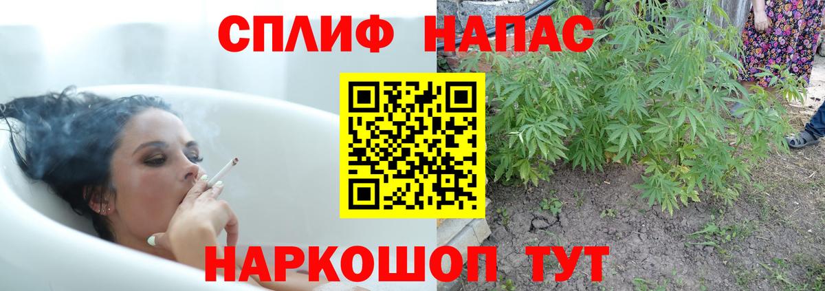 Серов  Канабис AK-47  Вход с VPN  Каннабис планчик  Марихуана ГИДРОПОН 